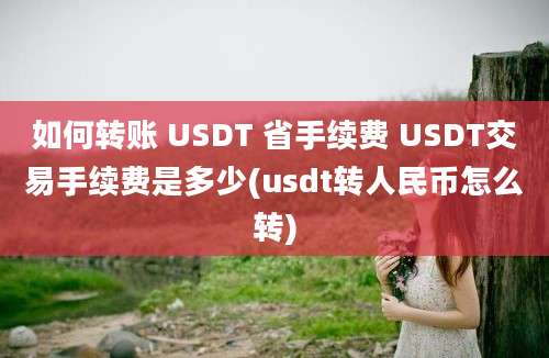 如何转账 USDT 省手续费 USDT交易手续费是多少(usdt转人民币怎么转)