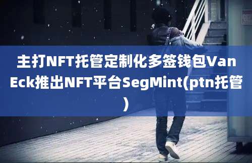 主打NFT托管定制化多签钱包VanEck推出NFT平台SegMint(ptn托管)