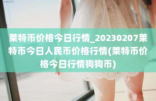 莱特币价格今日行情_20230207莱特币今日人民币价格行情(莱特币价格今日行情狗狗币)