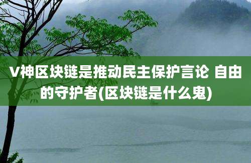 V神区块链是推动民主保护言论 自由的守护者(区块链是什么鬼)