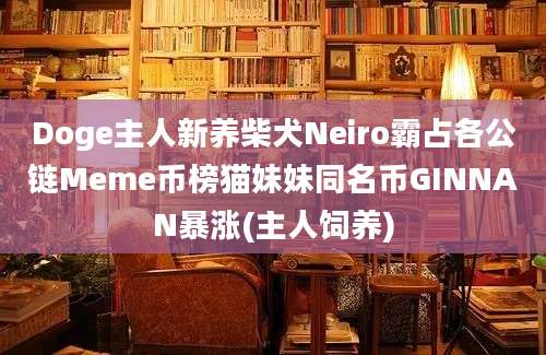 Doge主人新养柴犬Neiro霸占各公链Meme币榜猫妹妹同名币GINNAN暴涨(主人饲养)