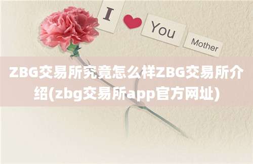 ZBG交易所究竟怎么样ZBG交易所介绍(zbg交易所app官方网址)