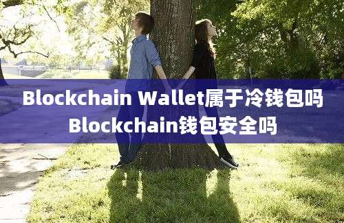 Blockchain Wallet属于冷钱包吗Blockchain钱包安全吗