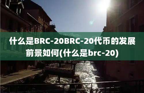 什么是BRC-20BRC-20代币的发展前景如何(什么是brc-20)