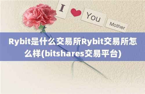 Rybit是什么交易所Rybit交易所怎么样(bitshares交易平台)