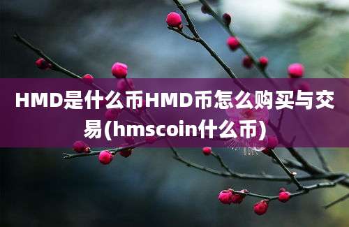 HMD是什么币HMD币怎么购买与交易(hmscoin什么币)