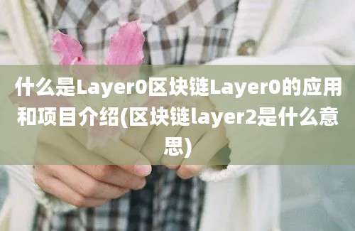 什么是Layer0区块链Layer0的应用和项目介绍(区块链layer2是什么意思)