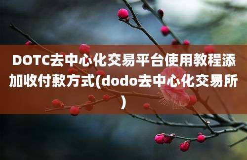 DOTC去中心化交易平台使用教程添加收付款方式(dodo去中心化交易所)