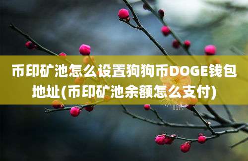 币印矿池怎么设置狗狗币DOGE钱包地址(币印矿池余额怎么支付)