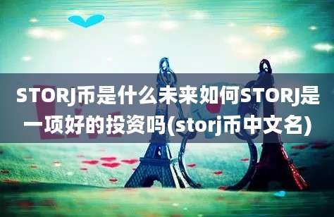 STORJ币是什么未来如何STORJ是一项好的投资吗(storj币中文名)