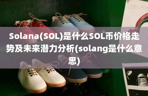 Solana(SOL)是什么SOL币价格走势及未来潜力分析(solang是什么意思)