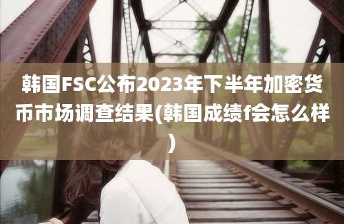 韩国FSC公布2023年下半年加密货币市场调查结果(韩国成绩f会怎么样)