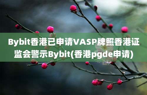 Bybit香港已申请VASP牌照香港证监会警示Bybit(香港pgde申请)