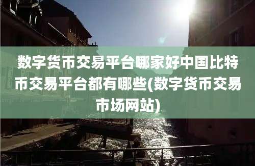 数字货币交易平台哪家好中国比特币交易平台都有哪些(数字货币交易市场网站)