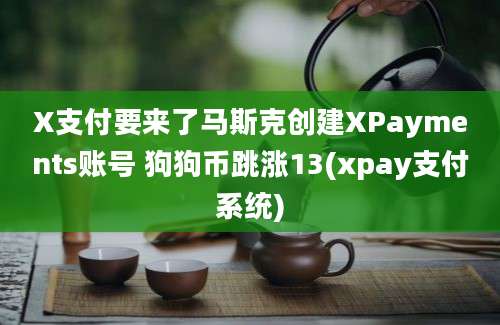 X支付要来了马斯克创建XPayments账号 狗狗币跳涨13(xpay支付系统)