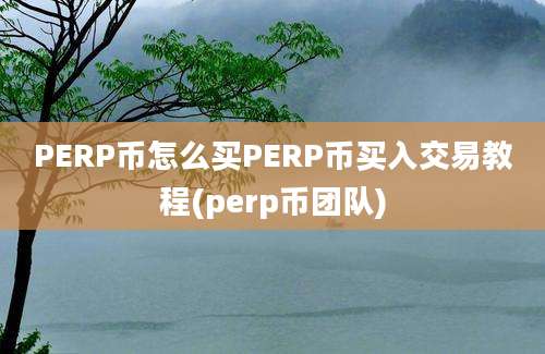 PERP币怎么买PERP币买入交易教程(perp币团队)