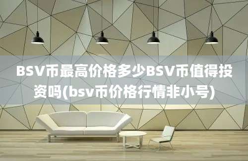 BSV币最高价格多少BSV币值得投资吗(bsv币价格行情非小号)