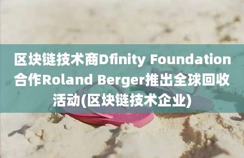 区块链技术商Dfinity Foundation合作Roland Berger推出全球回收活动(区块链技术企业)