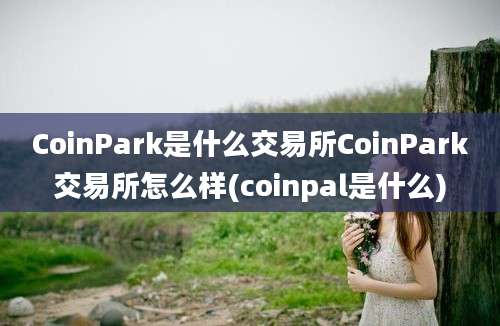 CoinPark是什么交易所CoinPark交易所怎么样(coinpal是什么)