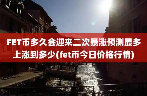 FET币多久会迎来二次暴涨预测最多上涨到多少(fet币今日价格行情)