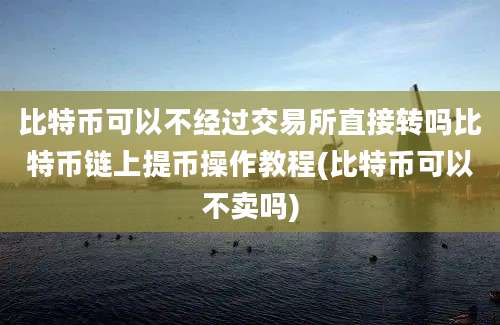 比特币可以不经过交易所直接转吗比特币链上提币操作教程(比特币可以不卖吗)