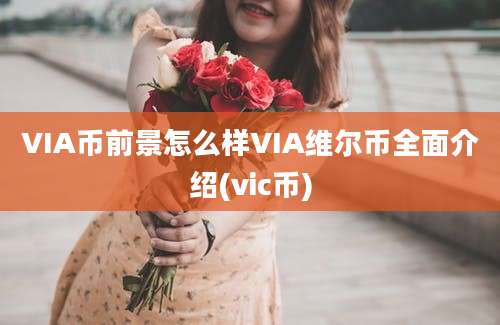 VIA币前景怎么样VIA维尔币全面介绍(vic币)