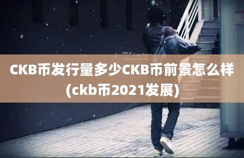 CKB币发行量多少CKB币前景怎么样(ckb币2021发展)