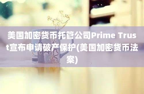 美国加密货币托管公司Prime Trust宣布申请破产保护(美国加密货币法案)