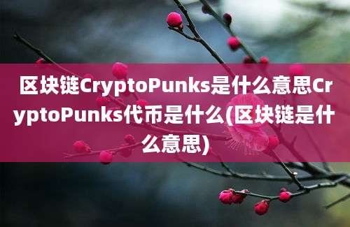 区块链CryptoPunks是什么意思CryptoPunks代币是什么(区块链是什么意思)