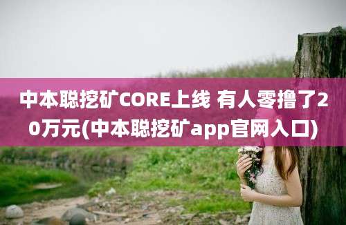 中本聪挖矿CORE上线 有人零撸了20万元(中本聪挖矿app官网入口)