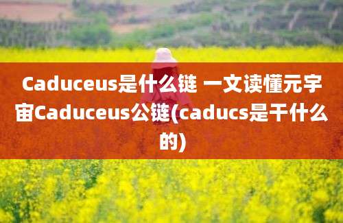 Caduceus是什么链 一文读懂元宇宙Caduceus公链(caducs是干什么的)