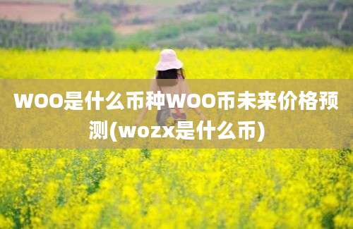 WOO是什么币种WOO币未来价格预测(wozx是什么币)