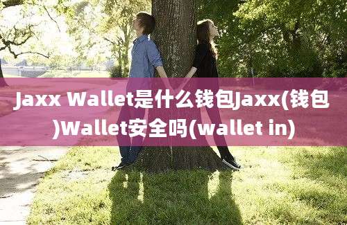 Jaxx Wallet是什么钱包Jaxx(钱包)Wallet安全吗(wallet in)