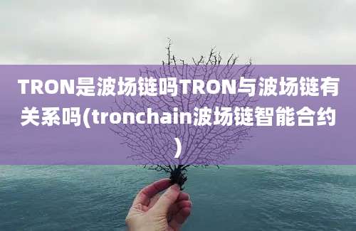 TRON是波场链吗TRON与波场链有关系吗(tronchain波场链智能合约)