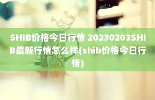 SHIB价格今日行情 20230203SHIB最新行情怎么样(shib价格今日行情)