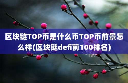 区块链TOP币是什么币TOP币前景怎么样(区块链defi前100排名)