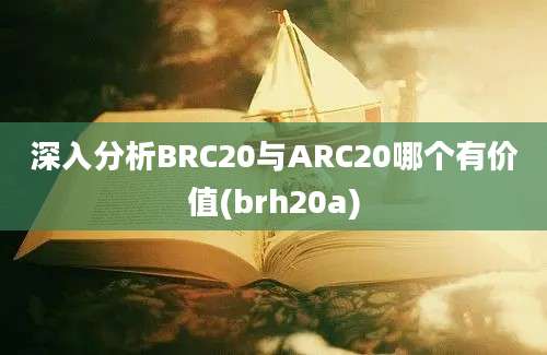 深入分析BRC20与ARC20哪个有价值(brh20a)