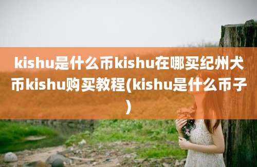 kishu是什么币kishu在哪买纪州犬币kishu购买教程(kishu是什么币子)