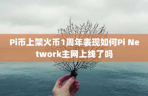 Pi币上架火币1周年表现如何Pi Network主网上线了吗