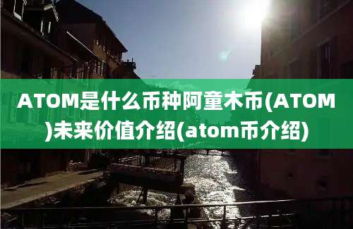 ATOM是什么币种阿童木币(ATOM)未来价值介绍(atom币介绍)