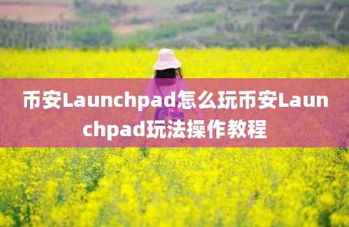 币安Launchpad怎么玩币安Launchpad玩法操作教程