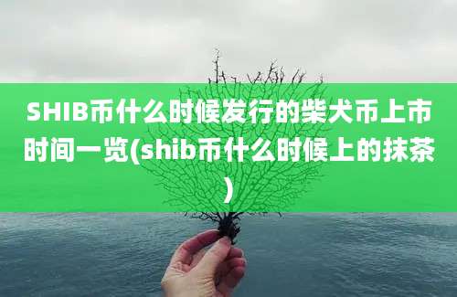 SHIB币什么时候发行的柴犬币上市时间一览(shib币什么时候上的抹茶)