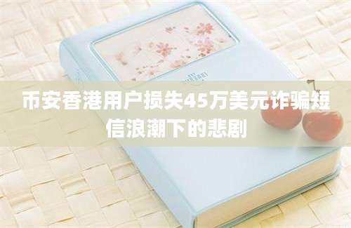 币安香港用户损失45万美元诈骗短信浪潮下的悲剧