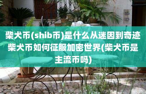 柴犬币(shib币)是什么从迷因到奇迹柴犬币如何征服加密世界(柴犬币是主流币吗)