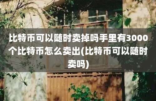 比特币可以随时卖掉吗手里有3000个比特币怎么卖出(比特币可以随时卖吗)