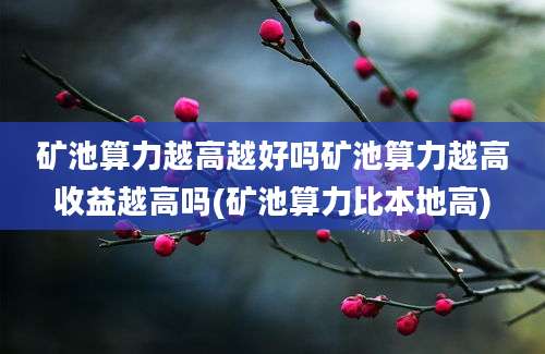 矿池算力越高越好吗矿池算力越高收益越高吗(矿池算力比本地高)