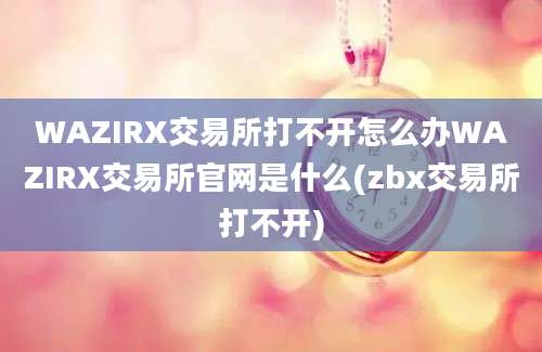 WAZIRX交易所打不开怎么办WAZIRX交易所官网是什么(zbx交易所打不开)