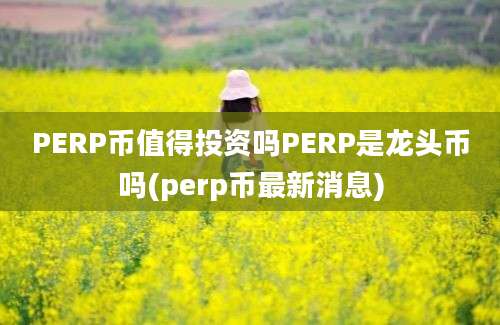 PERP币值得投资吗PERP是龙头币吗(perp币最新消息)