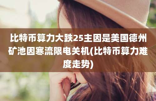 比特币算力大跌25主因是美国德州矿池因寒流限电关机(比特币算力难度走势)