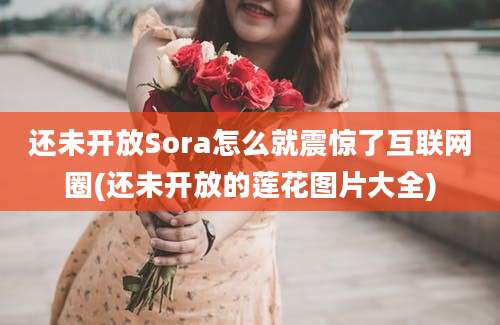 还未开放Sora怎么就震惊了互联网圈(还未开放的莲花图片大全)